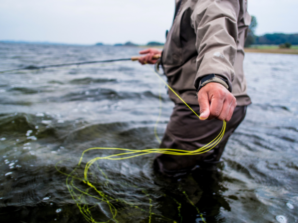 Fly Fishing From The Bank (Closing date 25th February 2026 opening date 18th March 2026)