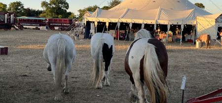 2025 Giffords Circus Tickets - Minchinhampton Common, Gloucestershire 7th - 18th August