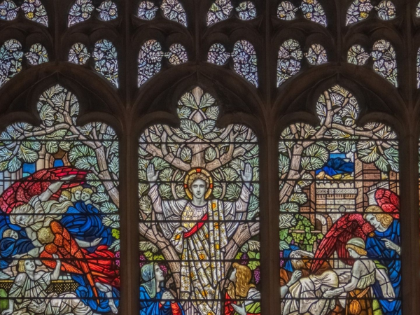 Stained Glass: The Tree of Life