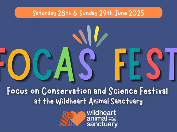 FOCAS Fest