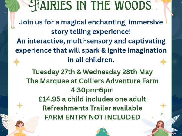Fairies in the Woods