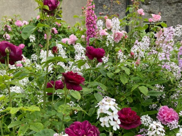 A tour of the private garden of Angela Moylan O’Reilly