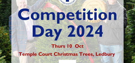 2024 Competition Day - Temple Court