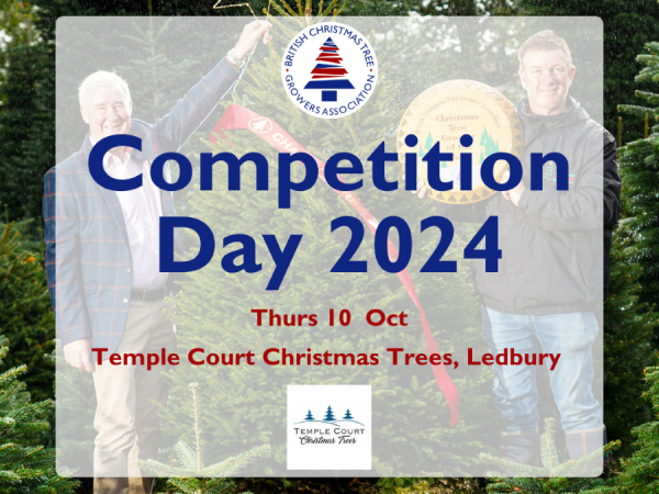 2024 Competition Day - Temple Court