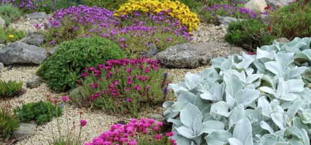 An introduction to Alpine Gardening