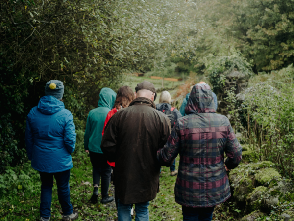Leaf and Lore: Native Tree Walk