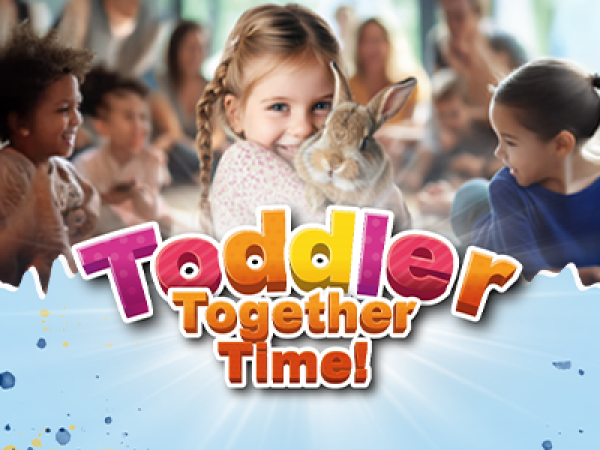 Admission 2026: Including Toddler Together Time, Access To The Farm, Softplay & Falconry Area