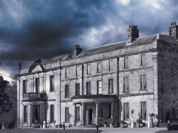 Murder Mystery: Murder Without A Clue