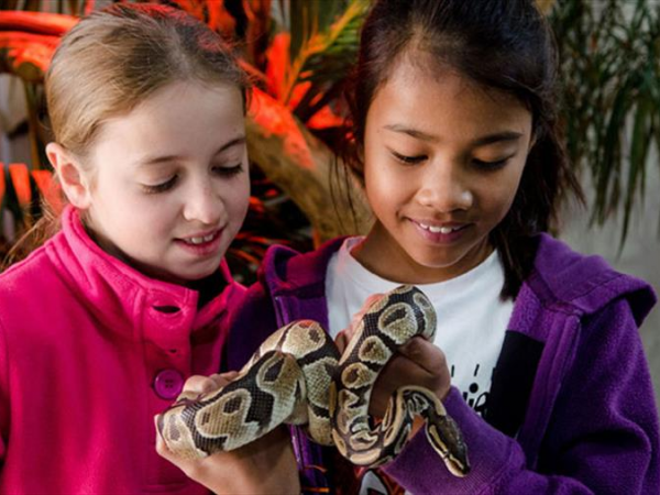 Reptile Encounter