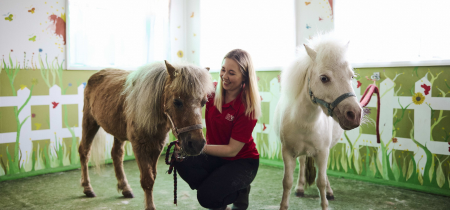 Meet the Mini Ponies