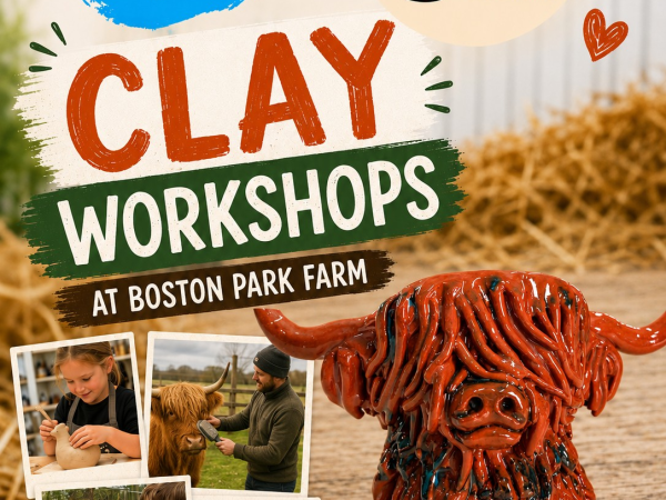 Highland Cow Clay Workshop