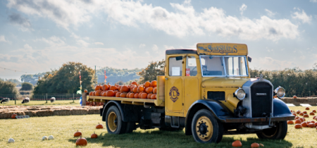 Mid-Week Pumpkin Festival