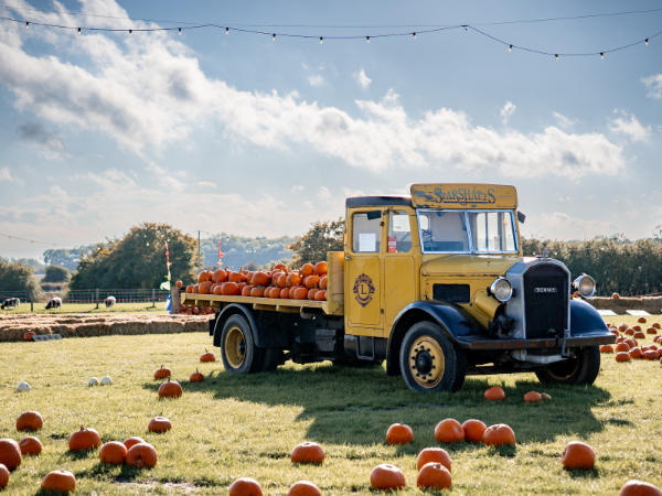 Mid-Week Pumpkin Festival