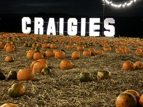 Late Pumpkin Picking