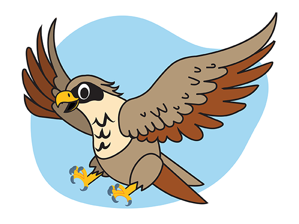 Falconry Encounters 2025