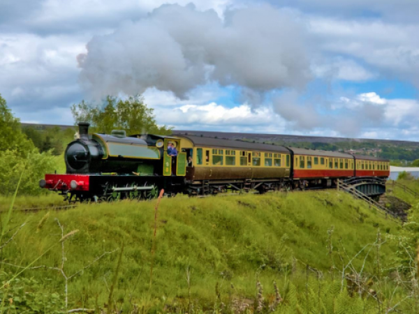 Bluey Visits! Train Tickets (Gwent)