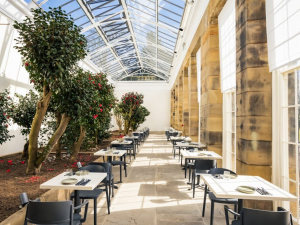 Mother's Day at the Camellia House