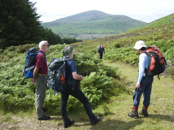 Blackstairs Introduction
