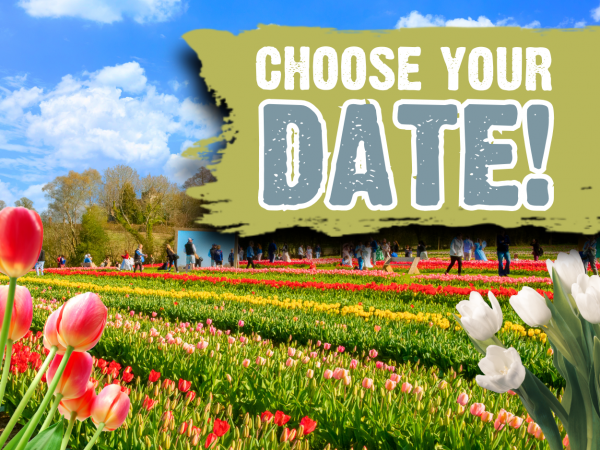 Tulleys Tulip Fest Sussex 2026