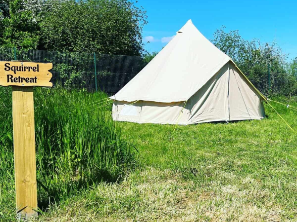 Squirrel Retreat Camping Pitch