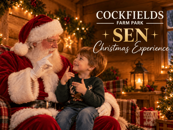 SEN Christmas Experience