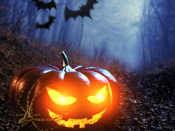 TWILIGHT Pumpkin Farm Spooktacular!