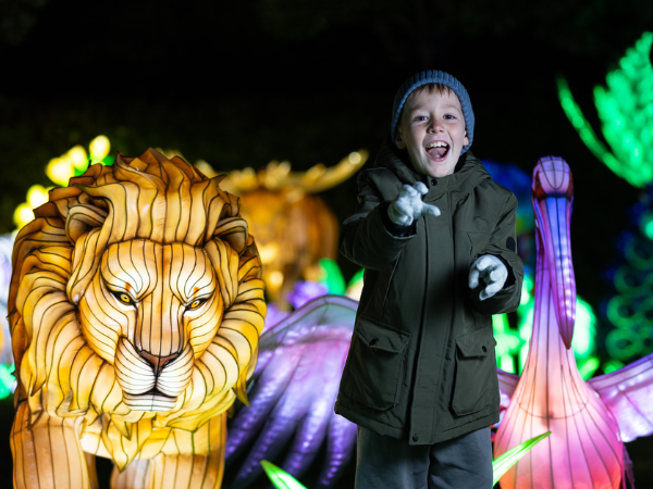 A child in an olive-green jacket stands beside a brightly lit lion sculpture, with other illuminated animals in the background.
