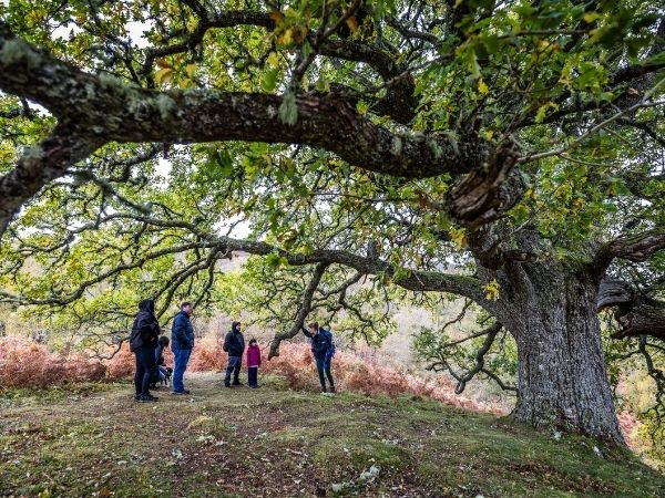 Folklore Guided Walk