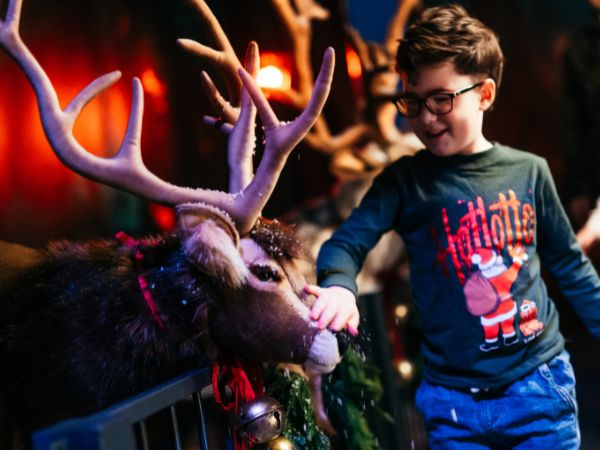 Christmas Admission