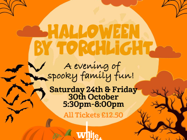 Halloween by Torchlight 2026