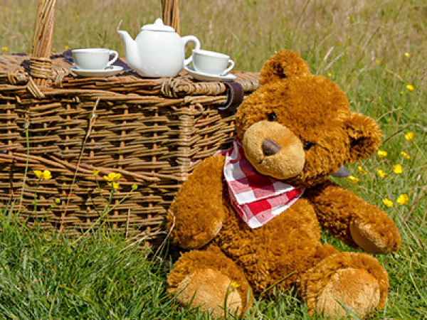 Teddy Bear Picnic Event at Cadbury Treehouse- 26th August