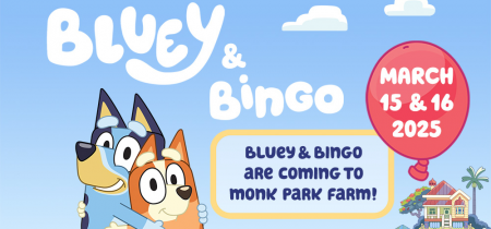 Bluey and Bingo Meet & Greet