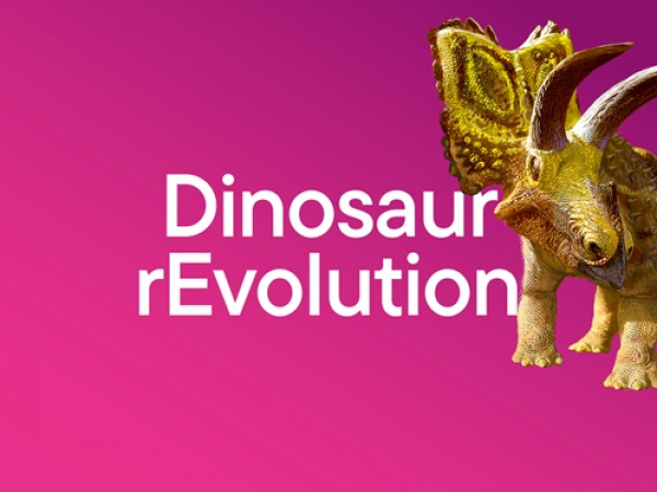 Dinosaur rEvolution