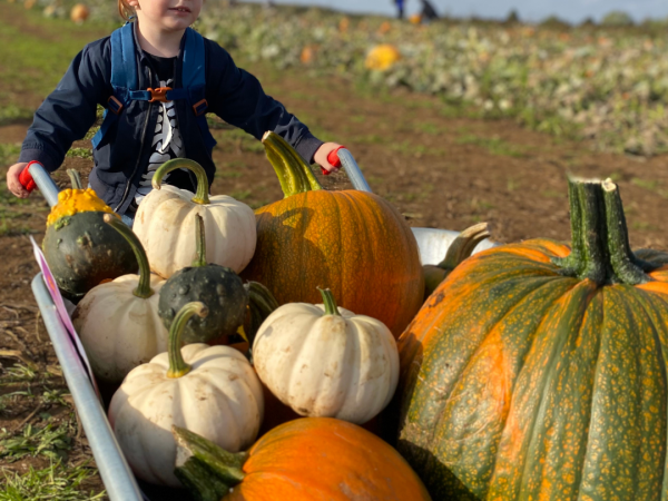 DAYTIME Pumpkin Farm Spooktacular!