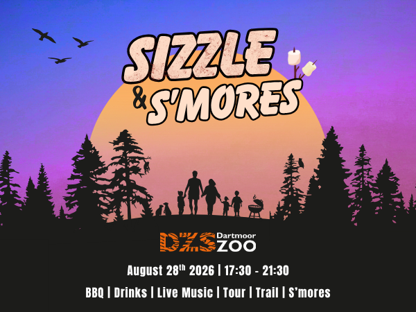 Sizzle & S'mores