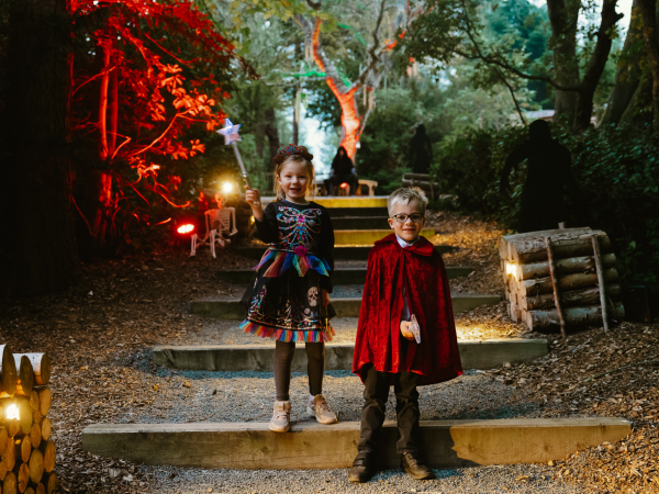 Halloween - After Dark in The Plotters Forest