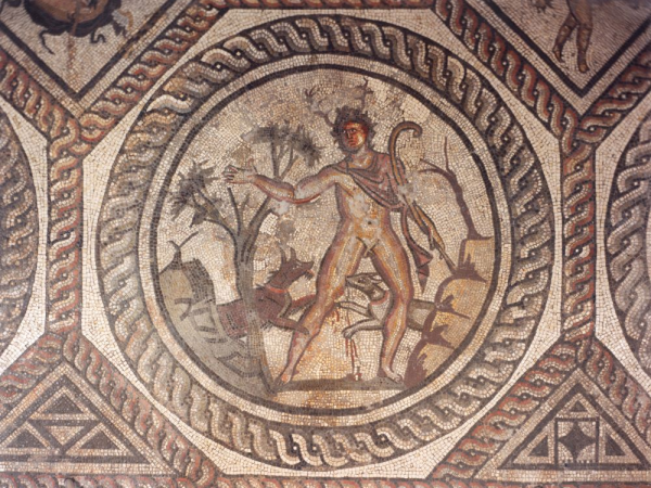 Actaeon's Antlers