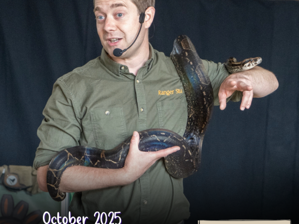 Ranger Stu & his exotic animals