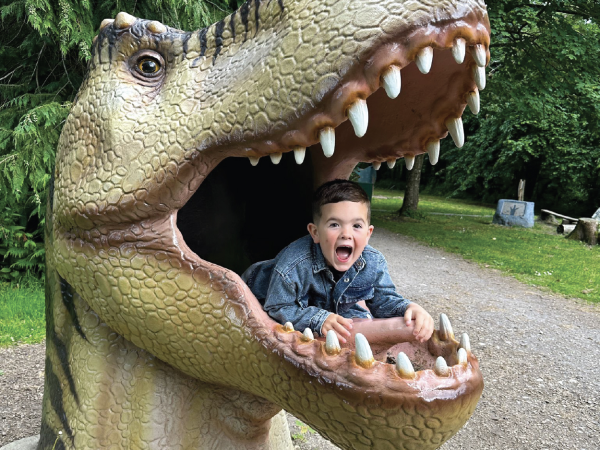 Standard weekday tickets – Monday to Friday -10am till 4pm