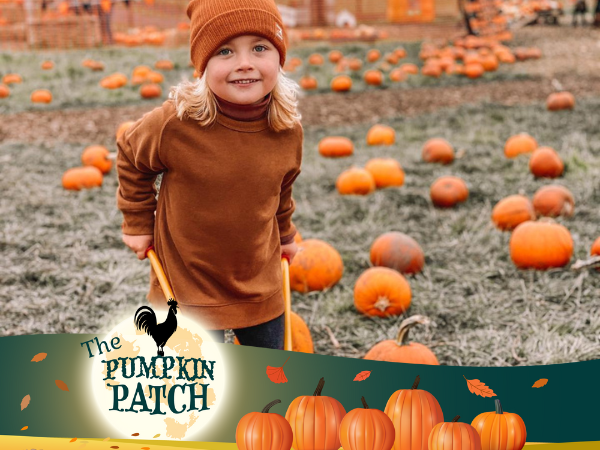 The Main Pumpkin Patch