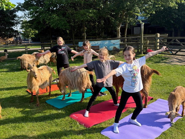Family Goat Yoga age 7+