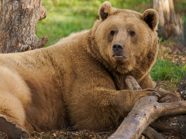 Members' Morning - Sunday 19th April 2026