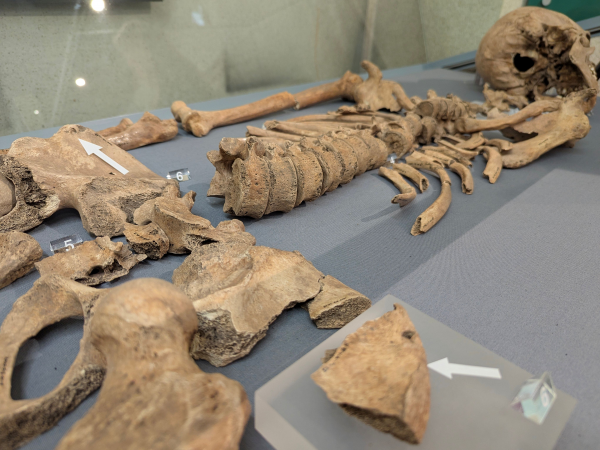 A Gladiator Cemetery in York? Exploring the Evidence