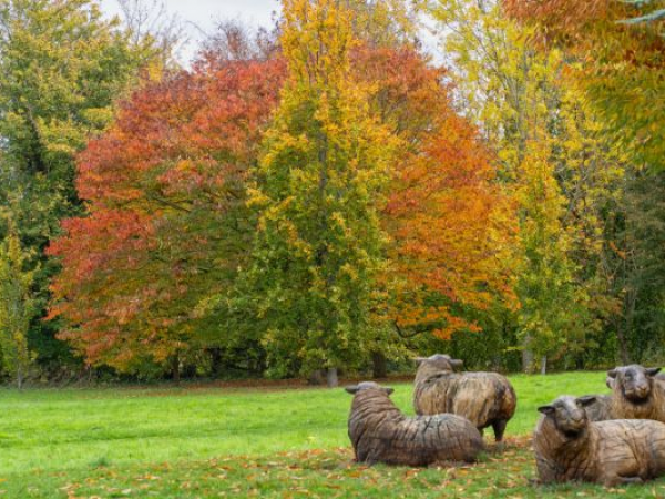Walk & Talk: Botanical Folklore - The Magic of Autumn