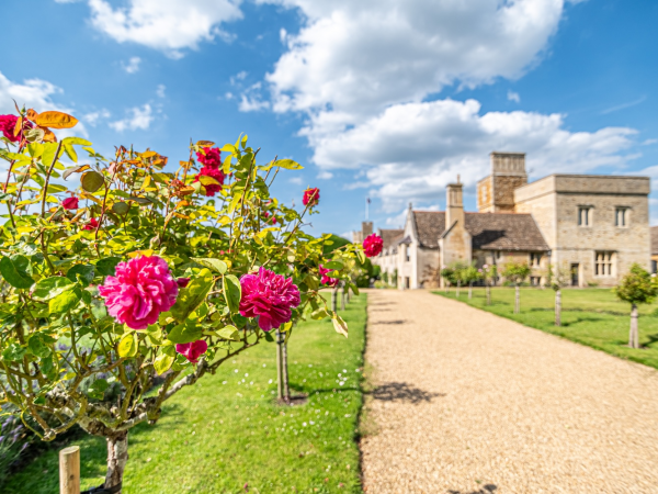 NGS Open Day - Gardens Only
