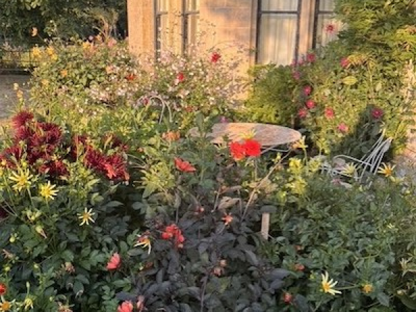 Matthew Rice: A Year in the Garden