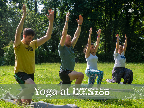 Yoga at Dartmoor Zoo
