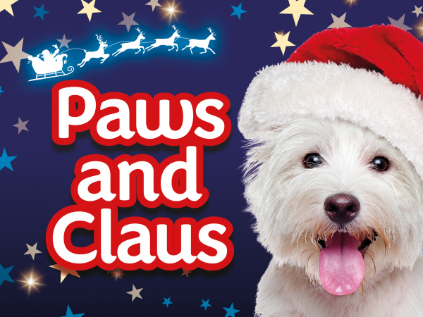 Wimborne Santa Paws