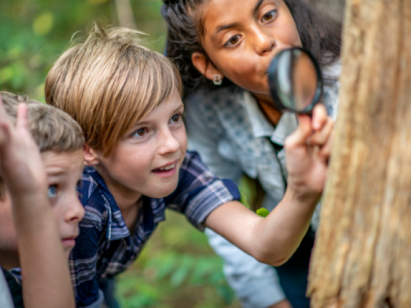 A Taste of Forest School
