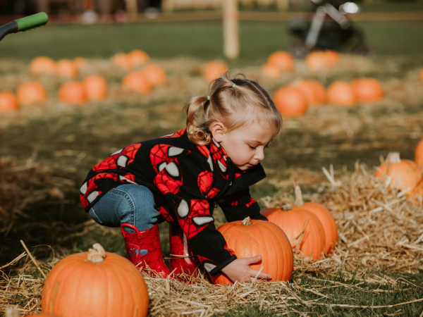 Fang-tastic Halloween Festival 2026!